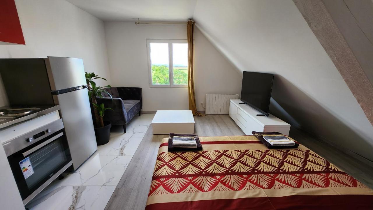 Appartement Vue Panoramique Sur La Plaine D'Alsace Andolsheim 외부 사진